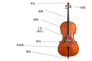 这些乐器，就算化成灰我也认识